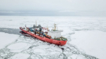 Севморпуть привлекает всё больше иностранных инвесторов