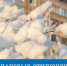 Плановые отключения - Город Мурманск