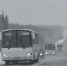 Автобус ПАЗ зима трасса лес - Транспорт Мурманской области