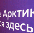 Молодые специалисты выбирают Мурманскую область: уже 850 человек переехали в регион с проектом «Курс на Север» - Правительство Мурманской области