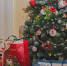 Министерство туризма и предпринимательства Мурманской области присоединилось к акции «Новогоднее чудо» - Комитет по туризму