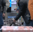 В аэропорту Мурманска начал работу первый телетрап - Телекомпания ТВ-21