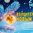 Волонтёрский Новый год - Детско-юношеская библиотека