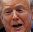 В США раскрыли отношение Трампа к Путину: речь о сильных эмоциях - КП Мурманск