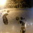 По Мурманской области сильные морозы сохранятся до конца 9 января - Арктик-ТВ