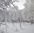 Прогноз погоды в Мурманске на 15 января - Murman.Ru