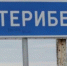Дополнительные автобусы в Териберку будут ходить до 20 января - SeverPost.ru
