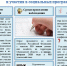 В Мурманской области пройдёт выборочное наблюдение доходов населения и участия в социальных программах - Город Мурманск