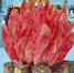 В Гаджиево слепили снеговиков в виде лошади и вечного огня - ИА Nord-News.Ru