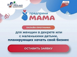 Успейте подать заявку на онлайн-курс «ПредприниМАМА» до 20 февраля