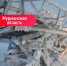 В Мурманской области упала опора ЛЭП [видео] - SeverPost.ru
