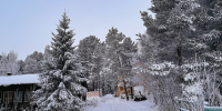 иней на хвойных деревьях - ИА Nord-News.Ru