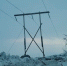 Временная ЛЭП в окрестностях Мурманска - ИА Nord-News.Ru
