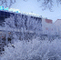 морозный Мурманск - ИА Nord-News.Ru