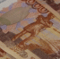 Северяне могут получить выплаты по ЧС. Но с жирной оговоркой - SeverPost.ru
