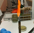 Микробиологические исследования продукции общественного питания на Staphylococcus aureus - Комитет по ветеринарии