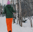 женщина едет на лыжах - ИА Nord-News.Ru