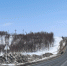 Дорога в Мурманской области - ИА Nord-News.Ru