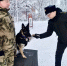В Росгвардии четвероногого бойца наградили медалью за безупречную службу - Росгвардия