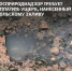 Балтийско-Арктическое межрегиональное управление Росприроднадзора добивается возмещения вреда, нанесённого Кольскому заливу Баренцева моря - Росприроднадзор