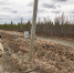 В Мурманской области стартовал конкурс на лучшего добровольного народного дружинника по охране государственной границы - Министерство региональной безопасности