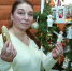 Праздник круглый год - Мурманский вестник