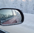 Вид из окна авто - ИА Nord-News.Ru