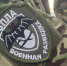 На поддержку участников СВО в Мурманской области потрачено более четырёх миллиардов - SeverPost.ru