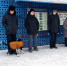 Мурманские школьники познакомились с профессией кинолога УИС - УФСИН