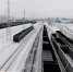Правительство РФ поручило ФАС установить допнадбавку в 1% к грузовым ж/д тарифам с 1 марта - Арктик-ТВ