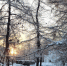 Парк на Ленинградской - ИА Nord-News.Ru