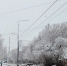 снег на городских улицах - ИА Nord-News.Ru