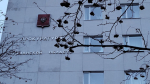 здание прокуратуры Мурманской области
