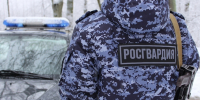 В Мурманске росгвардейцы задержали мужчину, устроившего дебош и укусившего работницу медицинского учреждения - Murman.Ru