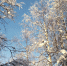В Мурманской области до -23° - SeverPost.ru