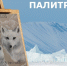 арктика конкурс дети искусство - ИА Nord-News.Ru