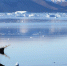 МЧС, погода, Мурманск - ИА Nord-News.Ru