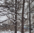 Зимний Мурманск - ИА Nord-News.Ru