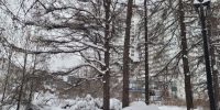 Зимний Мурманск - ИА Nord-News.Ru