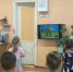 Всех девчонок поздравляем! - Детско-юношеская библиотека