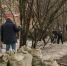В Мурманске определены даты общегородского субботника - SeverPost.ru