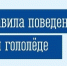 Ночью минус, днём – плюс: на дорогах скользко, будьте осторожнее - Министерство региональной безопасности