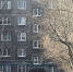 Нашествие опаснейших гостей в мурманском доме сняли на видео - Телекомпания ТВ-21