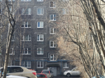 Нашествие опаснейших гостей в мурманском доме сняли на видео