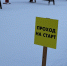 Определена дата всероссийских соревнований лыжников в Мончегорске - SeverPost.ru