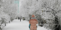 В Мурманской области выросло количество многодетных семей - Телекомпания ТВ-21