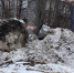 Дорожники в Молочном убрали снег вместе с урной - SeverPost.ru