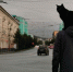 В центре Мурманска заметили мужчину с необычным «пассажиром» - Телекомпания ТВ-21