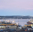 Глава NewNew Shipping: Мы включим в наши маршруты Мурманск - SeverPost.ru