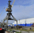 Росрыболовство не смогло доказать нарушения со стороны мурманского рыбозавода - SeverPost.ru